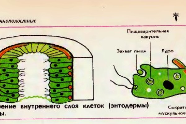 Дарк площадка кракен