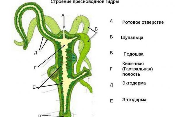 Сайты где купить наркотики