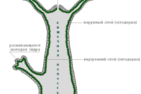 Переход на кракен