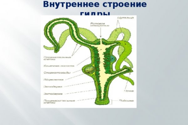 Значок кракена маркетплейса