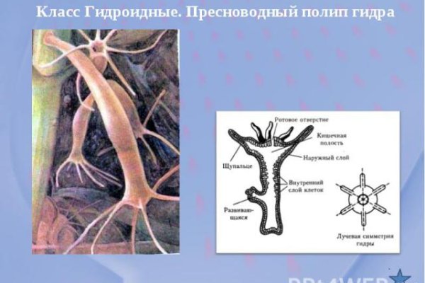Кракен официальный сайт онион