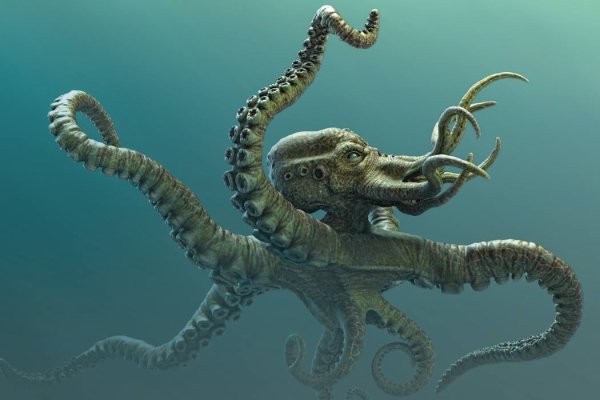 Kraken официальные зеркала