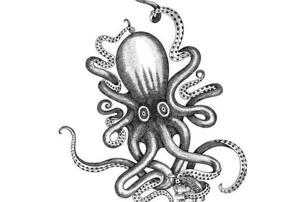 Kraken 4 ссылка